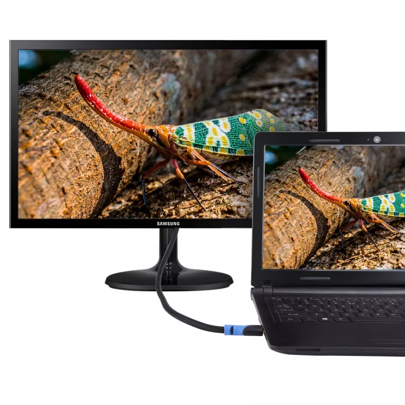 5ft HDMI cable